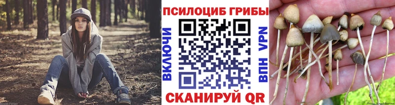 где продают   Георгиевск  Псилоцибиновые грибы мухоморы 