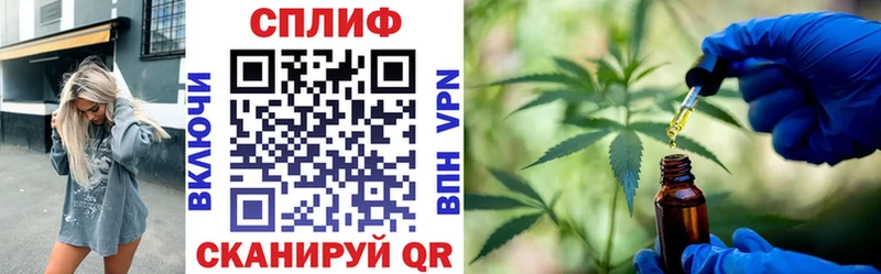 Бошки марихуана сатива  Георгиевск 